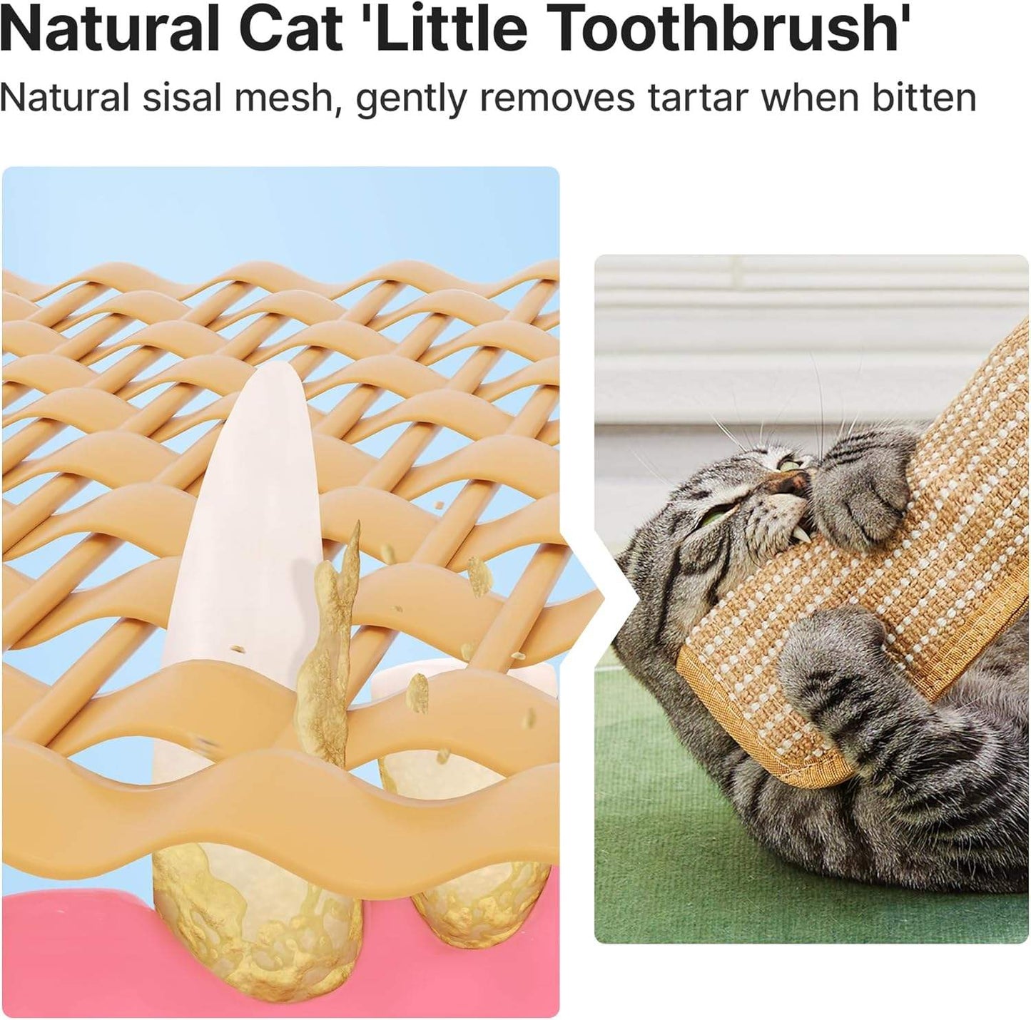 Anti-Scratch Cat Chew Mat