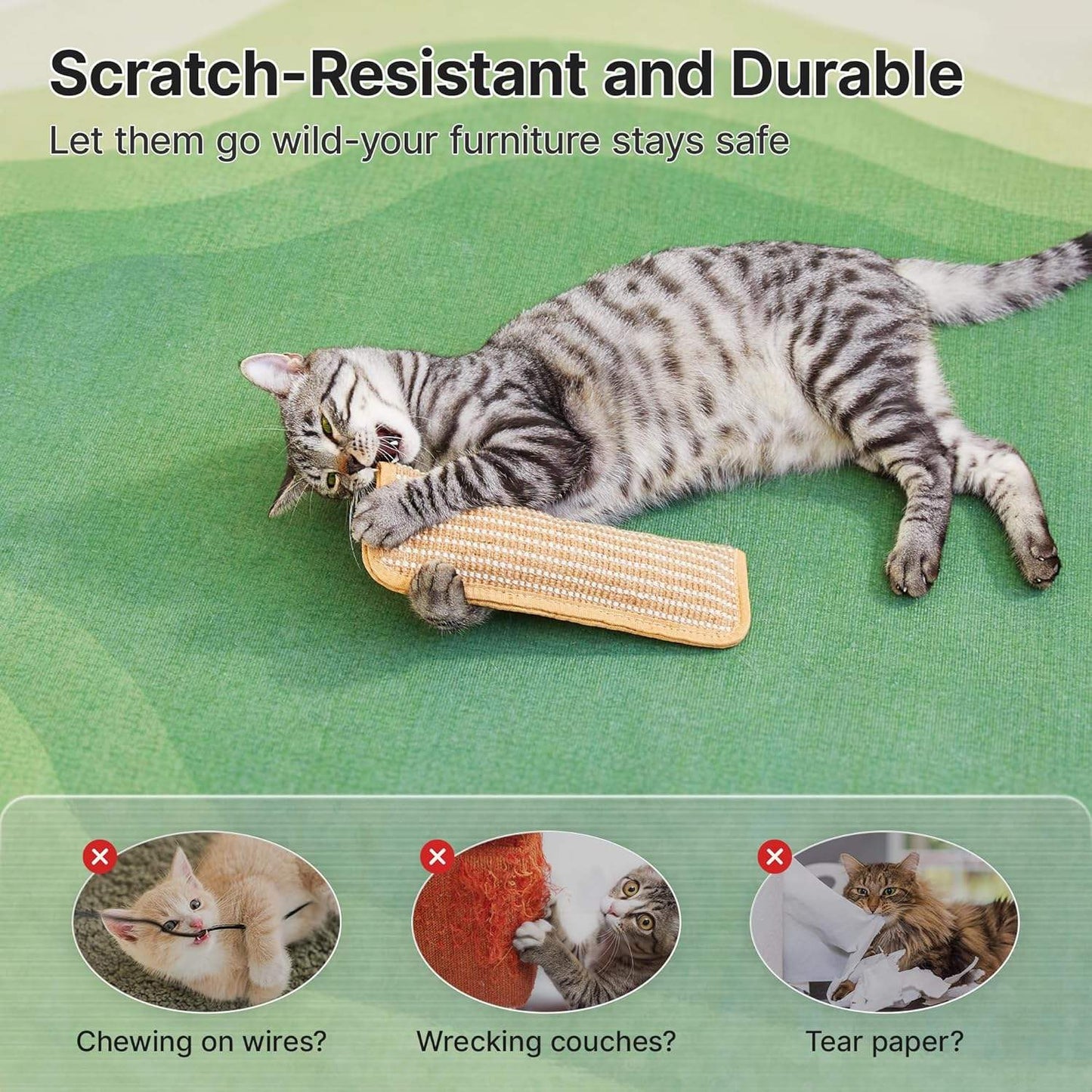 Anti-Scratch Cat Chew Mat