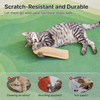 Anti-Scratch Cat Chew Mat